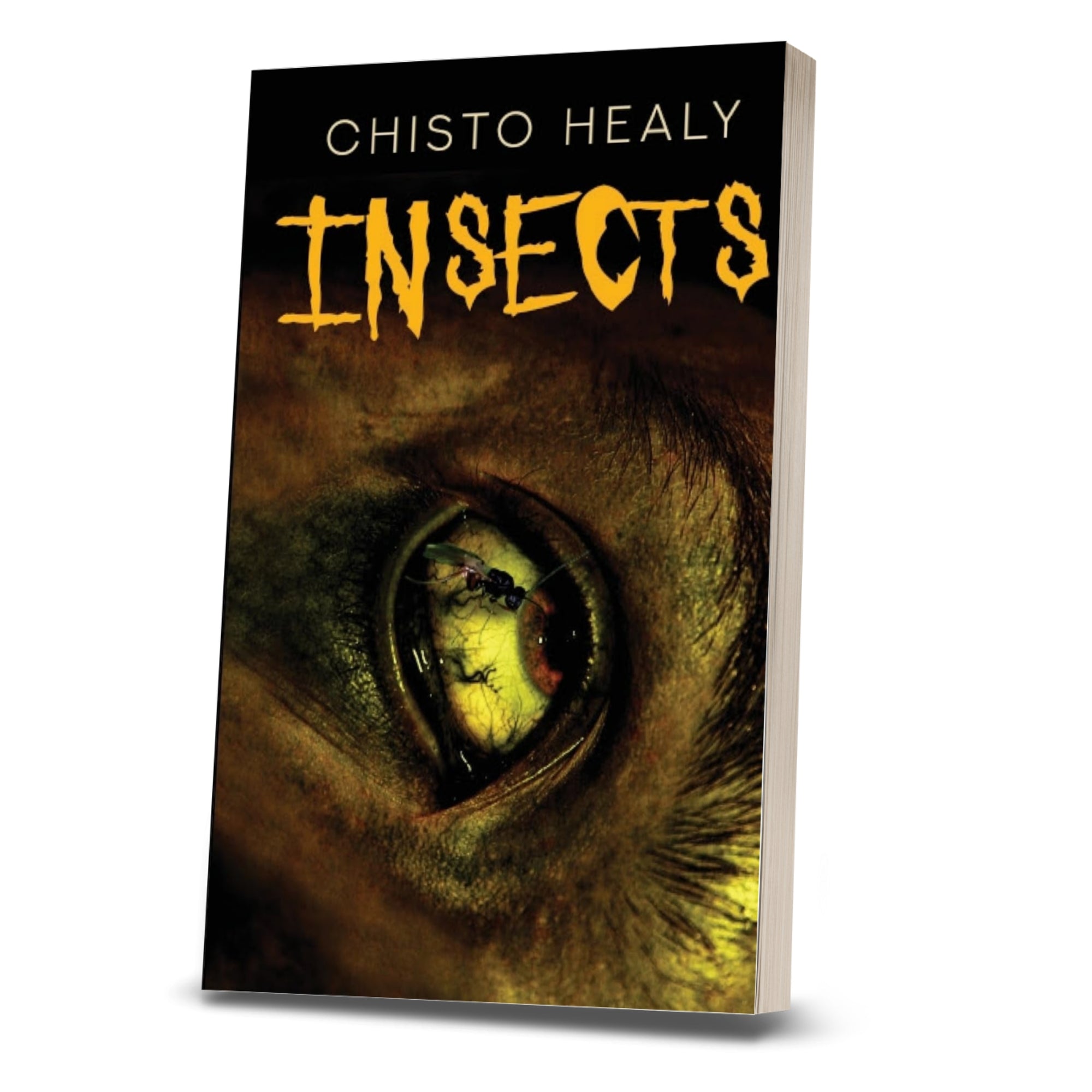 Insects